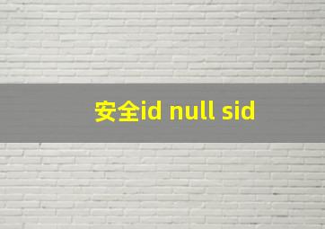 安全id null sid